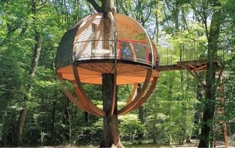 Cabane dans un arbre en forme de bulle